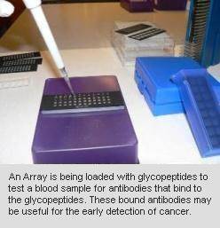 Image of an Array being loaded with glycopeptides to test a blood sample for antibodies that bind to the glycopeptides. These bound antibodies may be useful for the early detection of cancer.