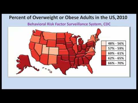 肥満とがんのリスクの画像