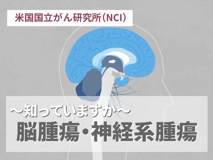 脳腫瘍・神経系腫瘍～知っていますか？～の画像